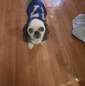 Meet your Posher, Mary